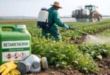 Betametacron